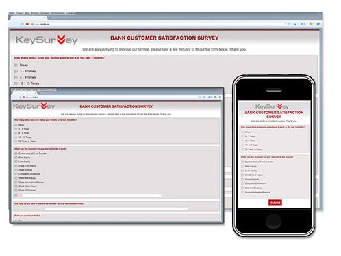 screenshot of Key Survey